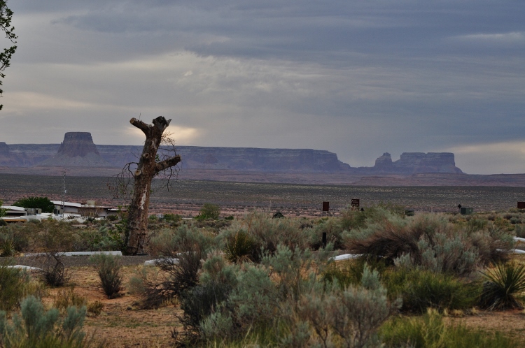 camp wahweap view